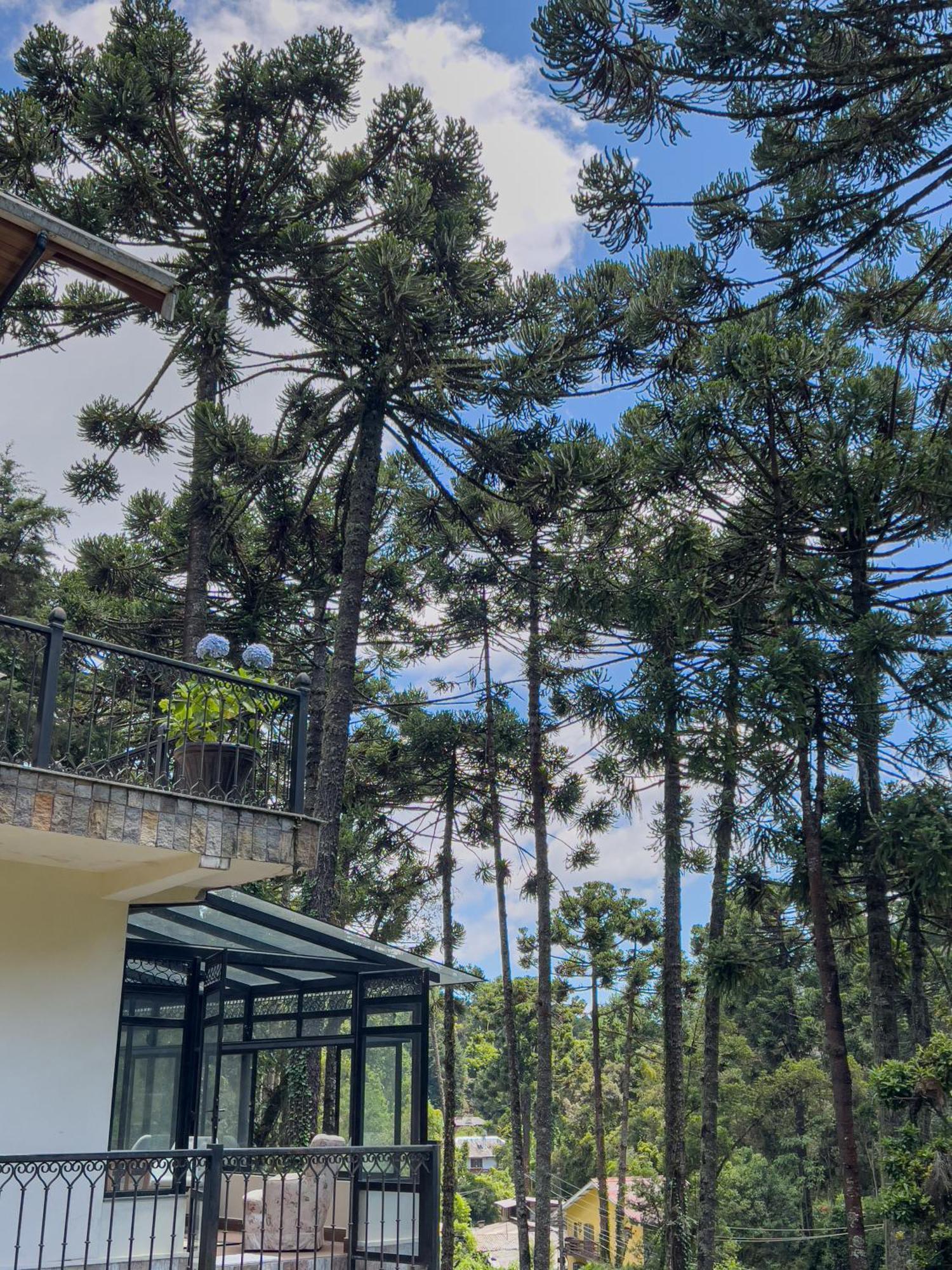 Recanto Do Pepe Campos do Jordão Exterior foto
